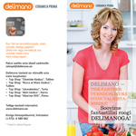 delimano brochure project design ad